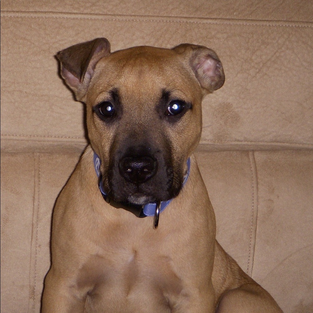 Meet your Posher, Caroline